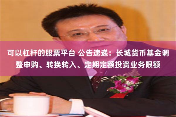 可以杠杆的股票平台 公告速递：长城货币基金调整申购、转换转入、定期定额投资业务限额