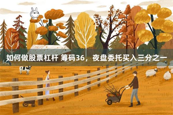 如何做股票杠杆 筹码36，夜盘委托买入三分之一