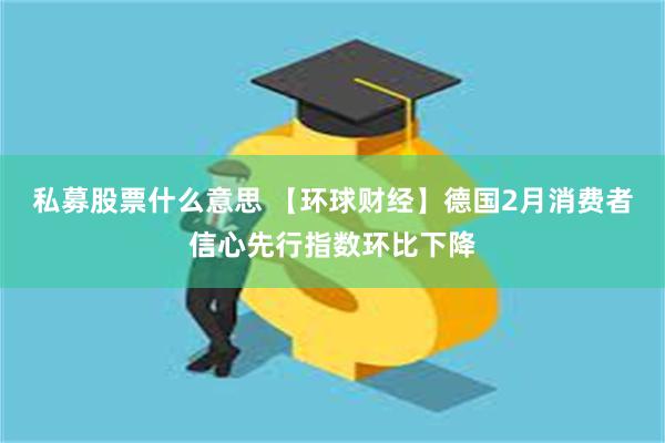私募股票什么意思 【环球财经】德国2月消费者信心先行指数环比下降