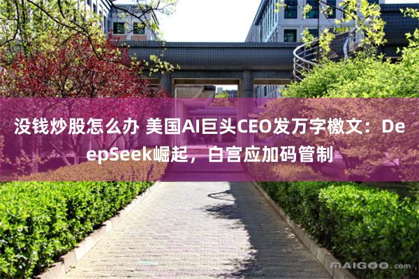 没钱炒股怎么办 美国AI巨头CEO发万字檄文：DeepSeek崛起，白宫应加码管制