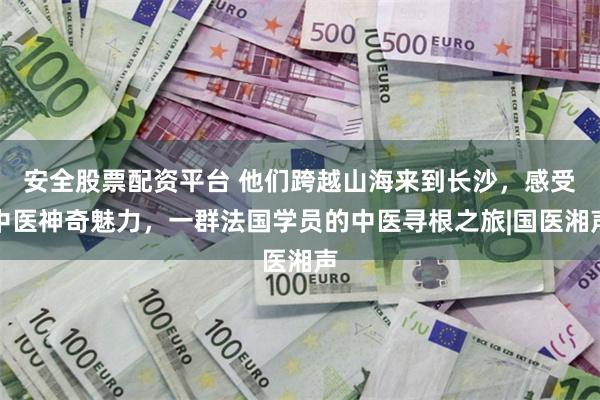安全股票配资平台 他们跨越山海来到长沙，感受中医神奇魅力，一群法国学员的中医寻根之旅|国医湘声