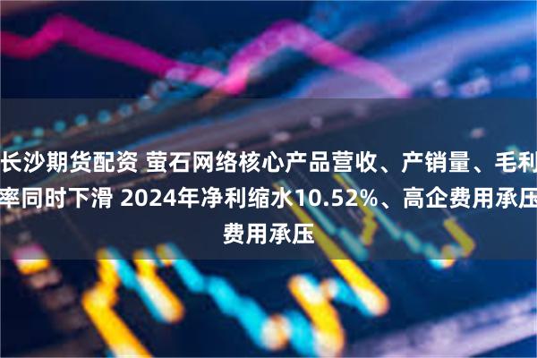 长沙期货配资 萤石网络核心产品营收、产销量、毛利率同时下滑 2024年净利缩水10.52%、高企费用承压