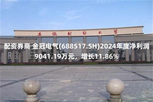 配资券商 金冠电气(688517.SH)2024年度净利润9041.19万元，增长11.86%