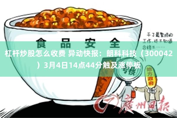 杠杆炒股怎么收费 异动快报：朗科科技（300042）3月4日14点44分触及涨停板