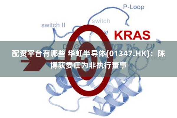配资平台有哪些 华虹半导体(01347.HK)：陈博获委任为非执行董事