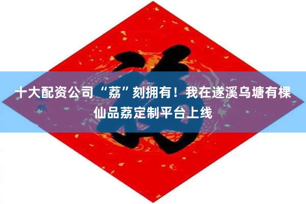 十大配资公司 “荔”刻拥有！我在遂溪乌塘有棵仙品荔定制平台上线