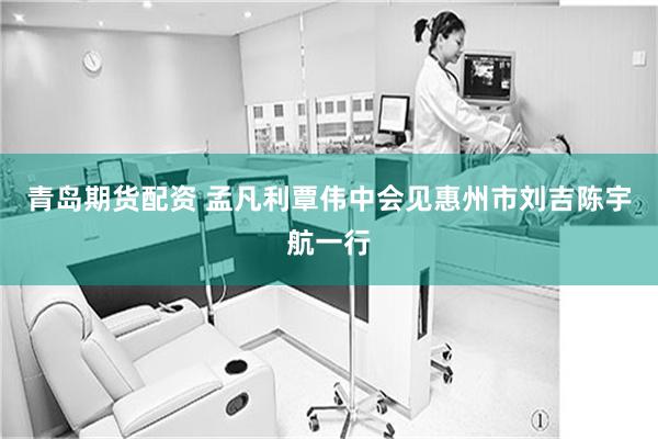 青岛期货配资 孟凡利覃伟中会见惠州市刘吉陈宇航一行