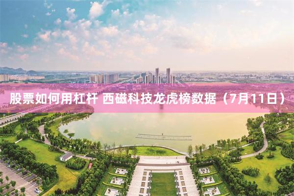 股票如何用杠杆 西磁科技龙虎榜数据（7月11日）