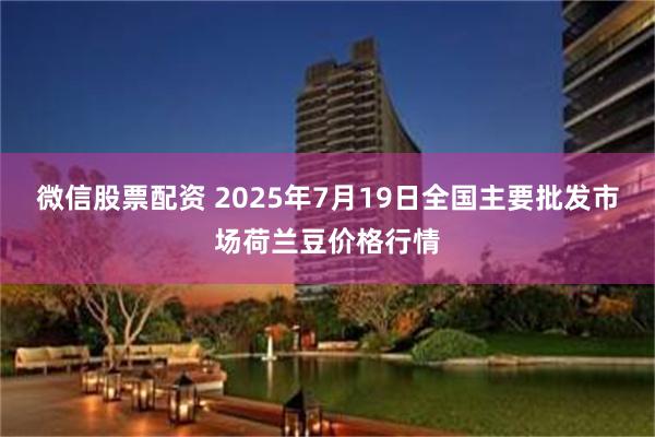 微信股票配资 2025年7月19日全国主要批发市场荷兰豆价格行情