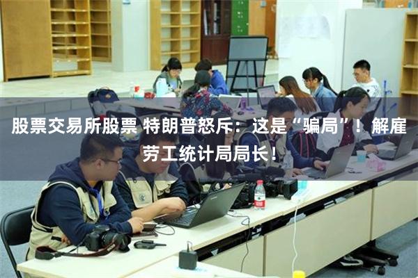 股票交易所股票 特朗普怒斥：这是“骗局”！解雇劳工统计局局长！