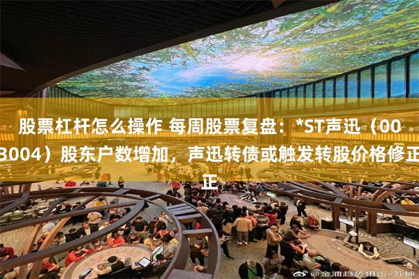股票杠杆怎么操作 每周股票复盘：*ST声迅（003004）股东户数增加，声迅转债或触发转股价格修正