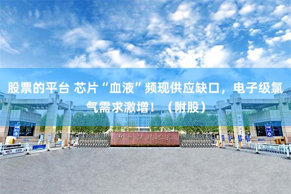 股票的平台 芯片“血液”频现供应缺口，电子级氯气需求激增！（附股）
