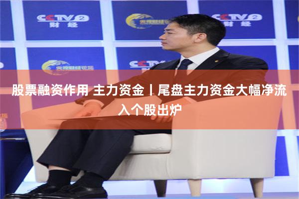 股票融资作用 主力资金丨尾盘主力资金大幅净流入个股出炉