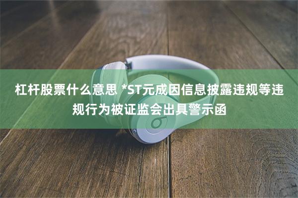 杠杆股票什么意思 *ST元成因信息披露违规等违规行为被证监会出具警示函