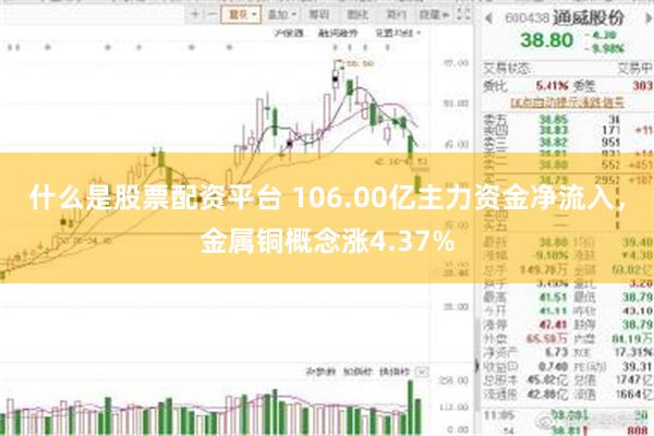 什么是股票配资平台 106.00亿主力资金净流入，金属铜概念涨4.37%