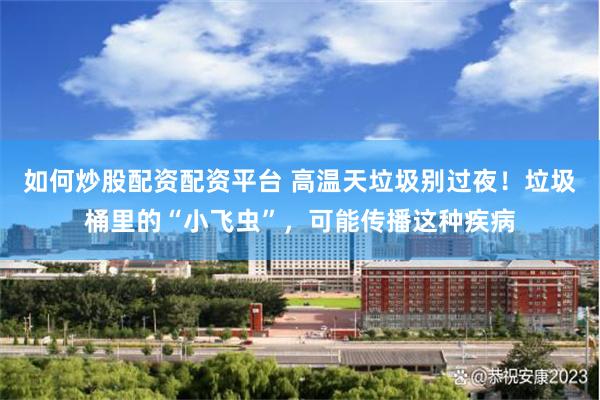 如何炒股配资配资平台 高温天垃圾别过夜！垃圾桶里的“小飞虫”，可能传播这种疾病