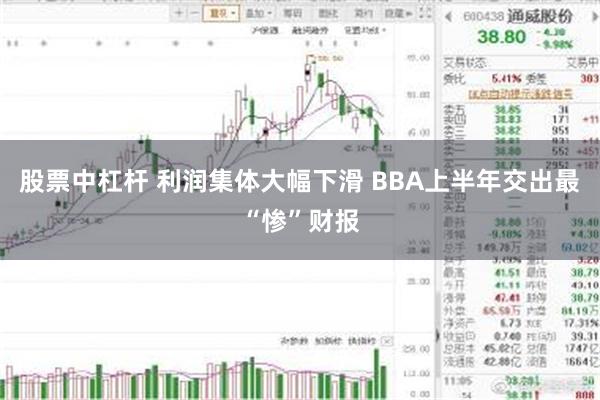 股票中杠杆 利润集体大幅下滑 BBA上半年交出最“惨”财报