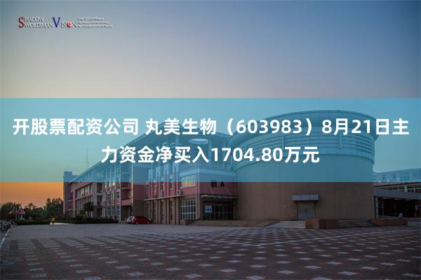 开股票配资公司 丸美生物（603983）8月21日主力资金净买入1704.80万元