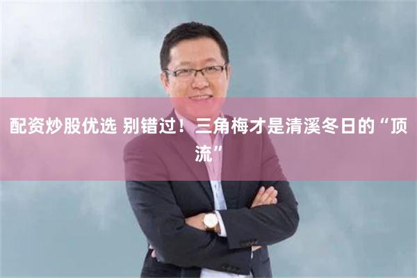 配资炒股优选 别错过！三角梅才是清溪冬日的“顶流”