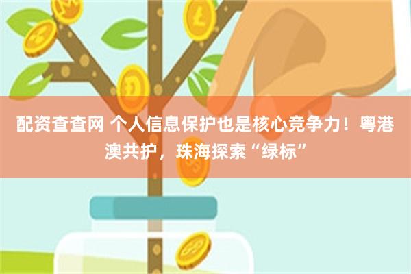 配资查查网 个人信息保护也是核心竞争力！粤港澳共护，珠海探索“绿标”