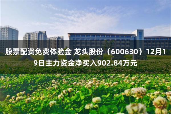 股票配资免费体验金 龙头股份（600630）12月19日主力资金净买入902.84万元