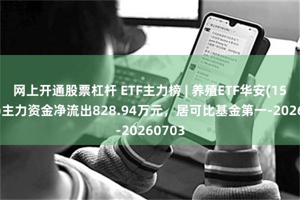 网上开通股票杠杆 ETF主力榜 | 养殖ETF华安(159011)主力资金净流出828.94万元，居可比基金第一-20260703