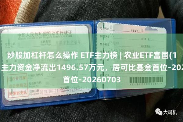 炒股加杠杆怎么操作 ETF主力榜 | 农业ETF富国(159825)主力资金净流出1496.57万元，居可比基金首位-20260703