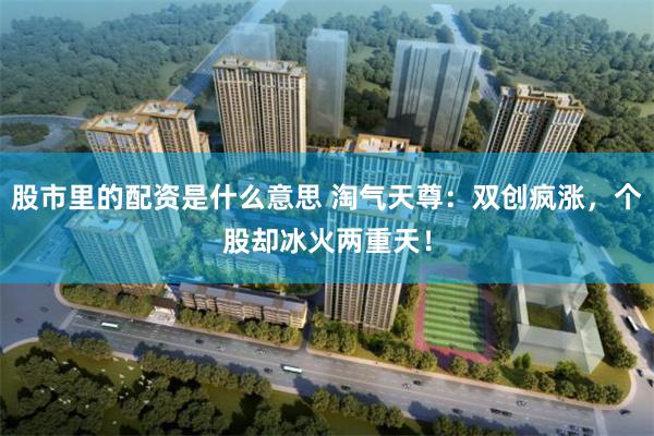 股市里的配资是什么意思 淘气天尊：双创疯涨，个股却冰火两重天！