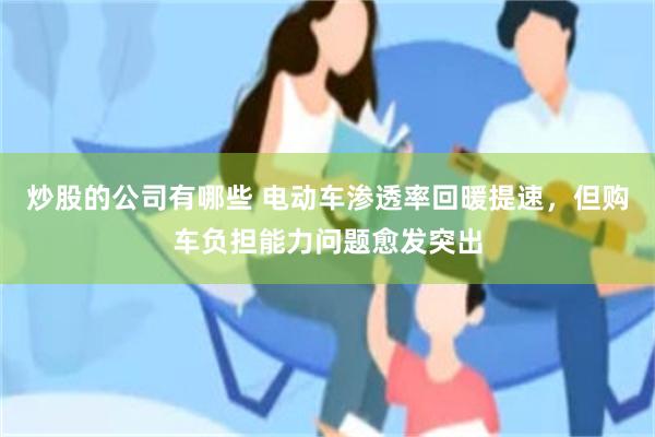 炒股的公司有哪些 电动车渗透率回暖提速,但购车负担能力问题愈发突出