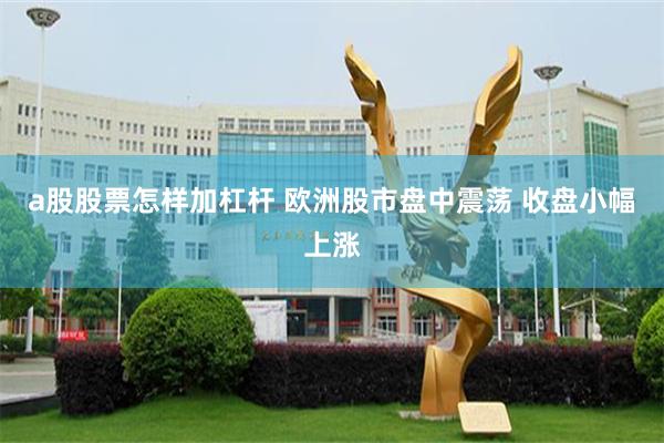 a股股票怎样加杠杆 欧洲股市盘中震荡 收盘小幅上涨