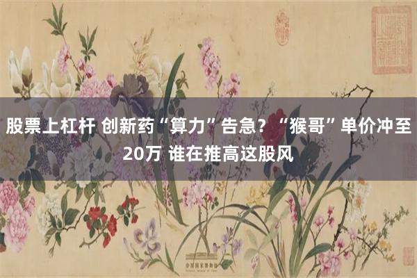 股票上杠杆 创新药“算力”告急？“猴哥”单价冲至20万 谁在推高这股风