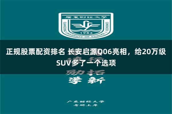 正规股票配资排名 长安启源Q06亮相，给20万级SUV多了一个选项