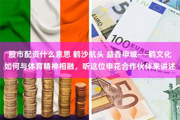 股市配资什么意思 鹤沙航头 益香申城——鹤文化如何与体育精神相融，听这位申花合作伙伴来讲述