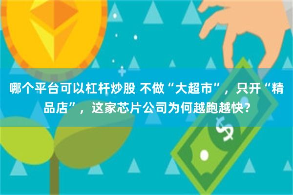 哪个平台可以杠杆炒股 不做“大超市”，只开“精品店”，这家芯片公司为何越跑越快？