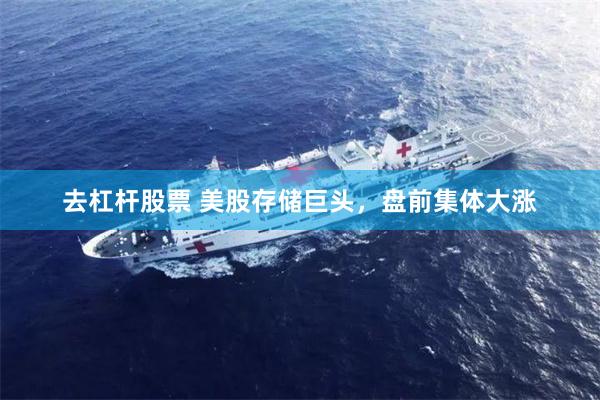 去杠杆股票 美股存储巨头，盘前集体大涨