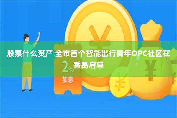 股票什么资产 全市首个智能出行青年OPC社区在番禺启幕