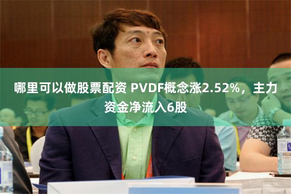 哪里可以做股票配资 PVDF概念涨2.52%，主力资金净流入6股