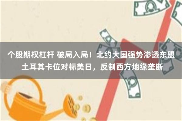 个股期权杠杆 破局入局！北约大国强势渗透东盟 土耳其卡位对标美日，反制西方地缘垄断