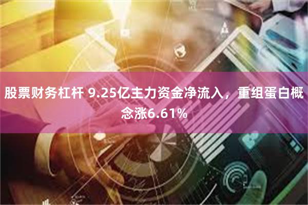 股票财务杠杆 9.25亿主力资金净流入，重组蛋白概念涨6.61%