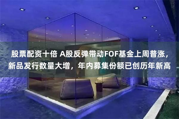股票配资十倍 A股反弹带动FOF基金上周普涨，新品发行数量大增，年内募集份额已创历年新高