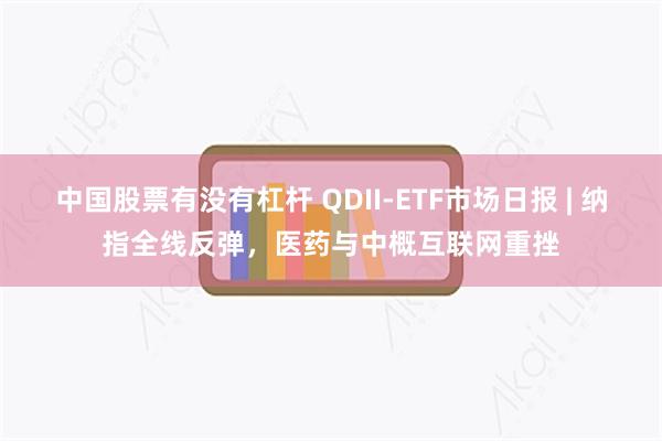 中国股票有没有杠杆 QDII-ETF市场日报 | 纳指全线反弹，医药与中概互联网重挫