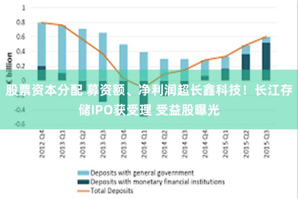 股票资本分配 募资额、净利润超长鑫科技！长江存储IPO获受理 受益股曝光
