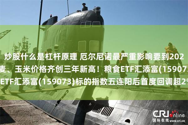 炒股什么是杠杆原理 厄尔尼诺最严重影响要到2027年才显现？芝加哥小麦、玉米价格齐创三年新高！粮食ETF汇添富(159073)标的指数五连阳后首度回调超2%！