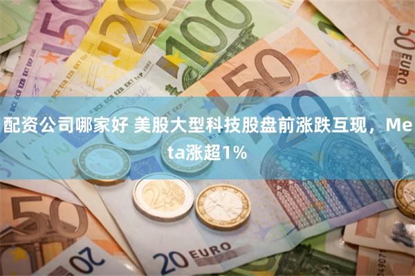 配资公司哪家好 美股大型科技股盘前涨跌互现，Meta涨超1%