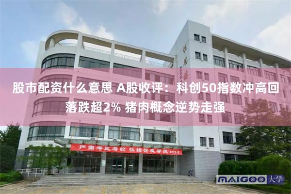 股市配资什么意思 A股收评：科创50指数冲高回落跌超2% 猪肉概念逆势走强