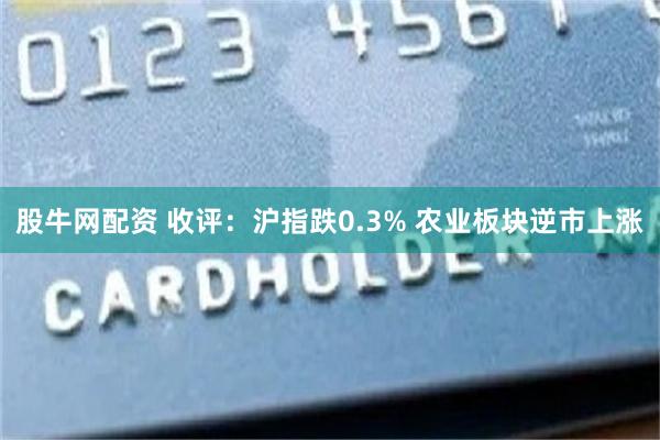 股牛网配资 收评：沪指跌0.3% 农业板块逆市上涨