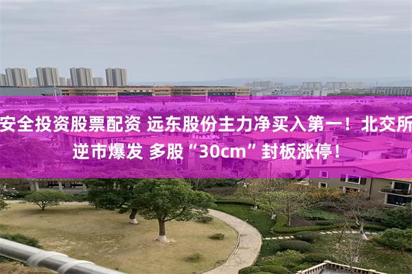 安全投资股票配资 远东股份主力净买入第一！北交所逆市爆发 多股“30cm”封板涨停！