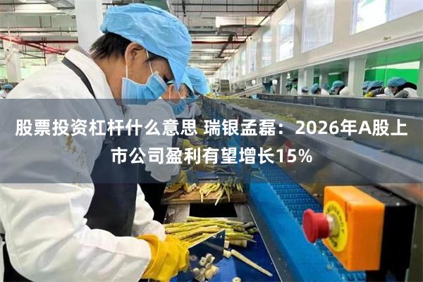 股票投资杠杆什么意思 瑞银孟磊：2026年A股上市公司盈利有望增长15%