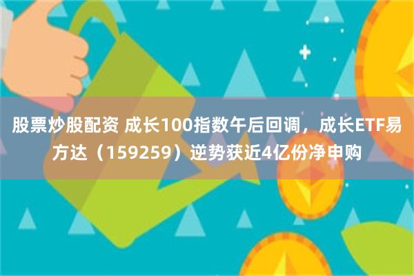 股票炒股配资 成长100指数午后回调，成长ETF易方达（159259）逆势获近4亿份净申购