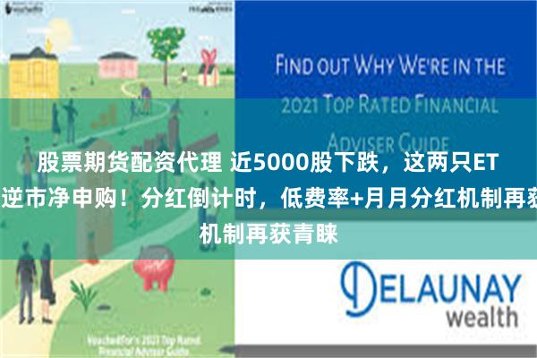股票期货配资代理 近5000股下跌，这两只ETF却获逆市净申购！分红倒计时，低费率+月月分红机制再获青睐